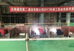 荊州職業技術學院在「第八屆米蘭設計周」國賽上喜獲佳獎