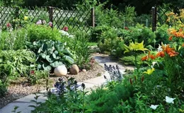 庭院陰面，種植這些木本花卉，也能開出花，太喜歡了