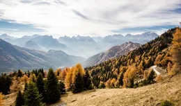 處女座2024年運勢大揭秘：精益求精，追求完美，生活精致！