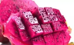 絕世唐門，玄老屢犯錯誤，為何學院還要執意挽留，原因有三