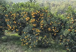 人工智慧只能排第三？被各大高校爭相開設的專業，第一名竟是它！