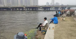 野釣鯽魚，兩個小時狂拔300尾，怎麽做到的？