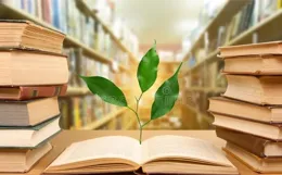 讀書的重要性，為什麽我們應該每天都讀書？