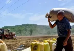 農民養老金新政：60歲與70歲，每月能領多少？要以官方宣布為準