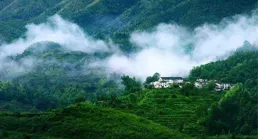 「雲水錦繡」丁珂中國畫作品展