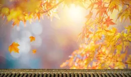 讓誰都不敢輕易惹你的4個小套路