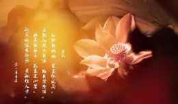 守神的技巧：站樁中的內在修煉