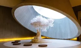 別不信！白羊座：四月下旬有好事降臨，不出3日，好運常伴！