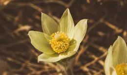 天蠍座：青年時以為自己光陰無限，很少有時間的緊迫感