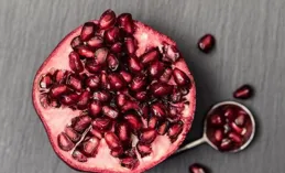 【跟小海龜學Python】35章教學ppt分享