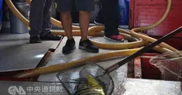 台灣強震前網上現「天空異象」照片，被指是「地震前兆」，如何從科學角度解釋這種「異象」？