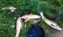 滑漂釣組綁法圖解：大水面野釣大魚，最強釣組之一