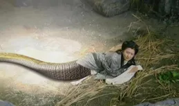 不能怪觀眾，盤點5個版本的【仙劍】，才知道又美又會演的女星太少