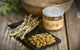 曾賣千元一斤，如今卻淪落到當盆栽，鐵皮石斛為什麽沒人去買了？