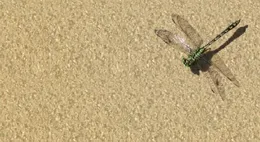 人過60，就要逼迫自己做好以下幾件事，確保晚年生活無憂，少煩惱