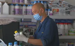 笑麻了！原來貓也會裝可愛？本以為是牙口不好，其實是在賣萌！