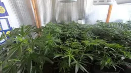 意料之外，種地綜藝種出高分