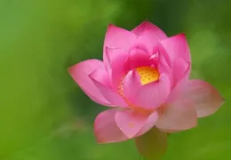 4月7日起，逆轉乾坤，浴火重生，步步高升，平步青雲的4個星座