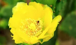 人到中年，別把日子過反了，想要過得幸福，要守住這四個原則