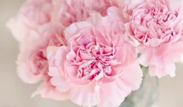 若，一個男人沒錢，就別再愛了，放聰明一點