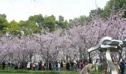 這個三月，我「粉」你了！