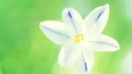 射手座水逆註意事項（4.2-4.25）