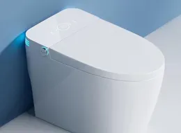 智慧馬桶有必要買嗎？三年老使用者使用體驗告訴你答案！