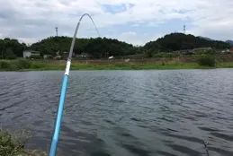 野釣需不需要壓風線？和漁獲關系不大，別輕言別人是釣魚小白