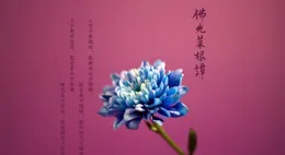 運道之路：行走在幸運與厄運的交界線上