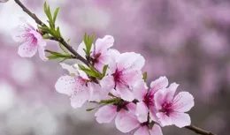 時間呀，你慢一點走，讓哥哥能多一點感受到家人的關愛和溫暖