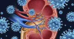 應對腎性貧血，腎臟專家共話中國臨床治療新方向