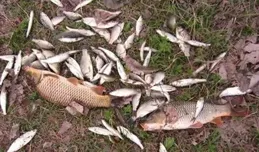 野釣遇上魚不咬鉤，只需做2個調整，效果立竿見影