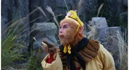 【西遊記】裏，孫悟空為什麽不找如來報仇？