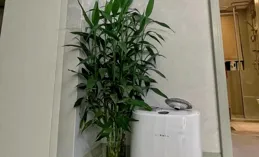 養花8年，我建議你養這10種綠植，室內不曬太陽也長得很漂亮