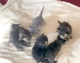 最「受寵」的5種花，顏值高又好養，一開花就是200天