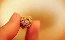 養脾胃最好的15天來了！做對3件事養好脾胃，排出痰濕