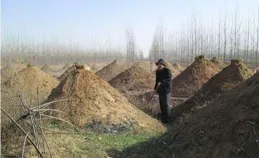 清明上墳四人必須去，為啥？祭掃「前三後四，左五右六」，是啥？