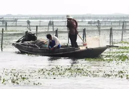 類魂到底怎麽算的啊，最近看黑神話那邊已經吵瘋了說黑到底是不是，有沒有理智點的說法？
