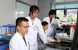 神經科醫生必備：腦動脈供血區圖譜｜一鍵收藏