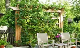 想有一個小院子，花開花落一輩子