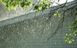 蘇東坡一首告別春天的詞作，既失意又傷感