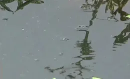 釣魚有大魚進窩，最忌諱的「3個舉動」，不改掉，大魚來了也會跑