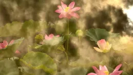 把追星的室友惹急了怎麽辦？?