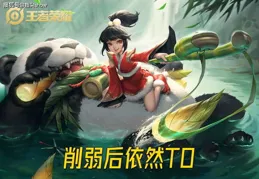 S26裴擒虎心眼肉刀的可行性分析