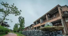 在金山有這樣一群人，回到農場治愈自己……