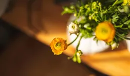 25句很經典值得摘抄收藏的句子