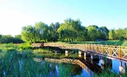 【道德經】從政之道（逆道者亡——不得善終的暴君侯景）