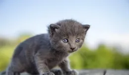 未知的路，遠方的家