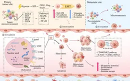 優秀！湘雅醫院申竑、曾珊教授團隊連續在國際期刊上發表研究成果