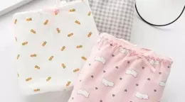 內褲一天不換有多臟？穿多久就得扔？為了健康必看！